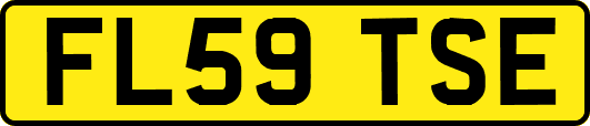 FL59TSE