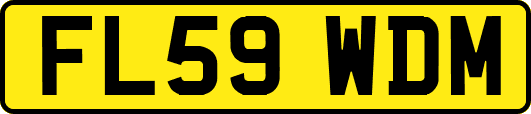 FL59WDM