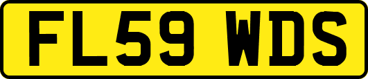 FL59WDS