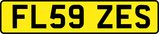 FL59ZES