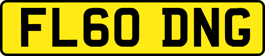 FL60DNG