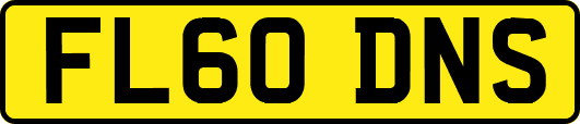 FL60DNS