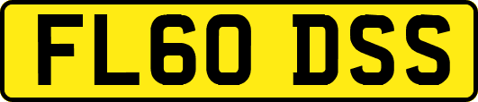 FL60DSS
