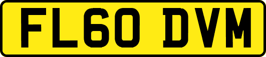 FL60DVM