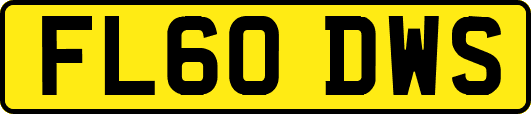 FL60DWS