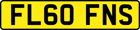 FL60FNS