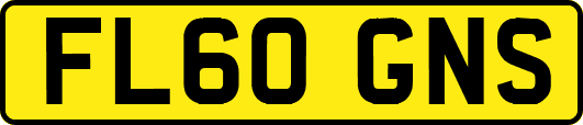 FL60GNS
