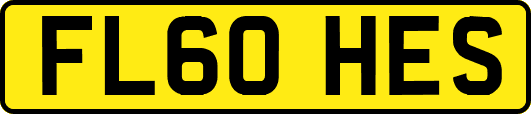 FL60HES
