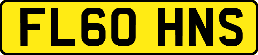FL60HNS