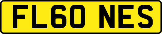 FL60NES