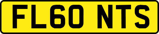 FL60NTS