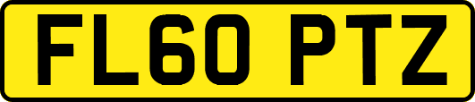 FL60PTZ