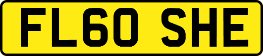 FL60SHE