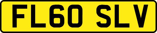 FL60SLV