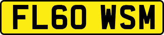 FL60WSM
