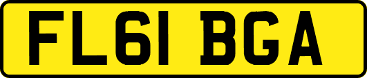 FL61BGA