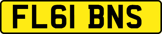 FL61BNS