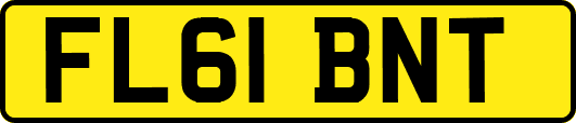 FL61BNT