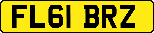FL61BRZ