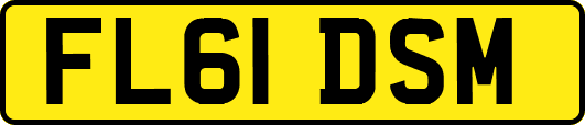 FL61DSM
