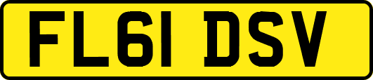 FL61DSV