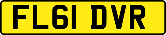 FL61DVR