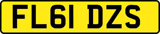 FL61DZS