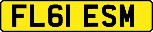FL61ESM