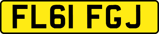 FL61FGJ