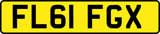 FL61FGX