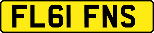 FL61FNS