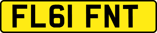 FL61FNT