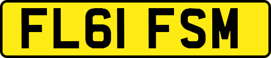 FL61FSM