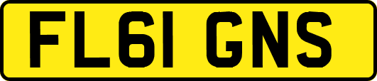 FL61GNS