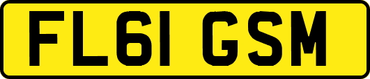 FL61GSM