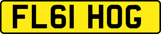 FL61HOG