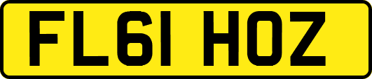 FL61HOZ