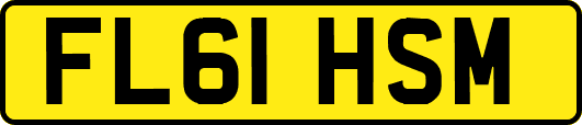 FL61HSM