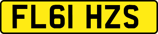 FL61HZS