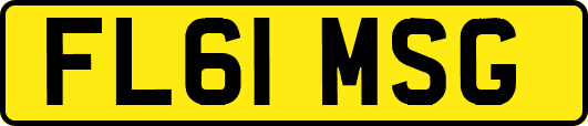 FL61MSG