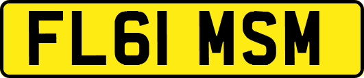 FL61MSM