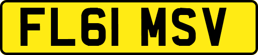 FL61MSV