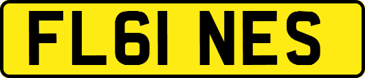 FL61NES