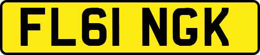 FL61NGK