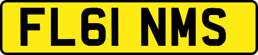 FL61NMS