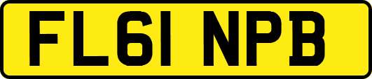 FL61NPB