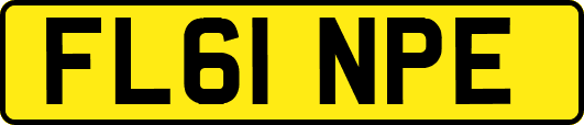 FL61NPE