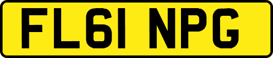 FL61NPG