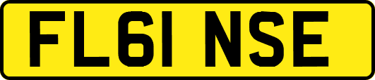 FL61NSE