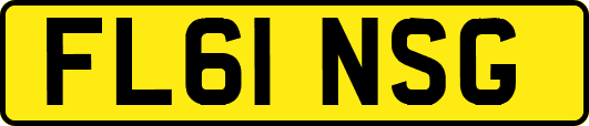FL61NSG